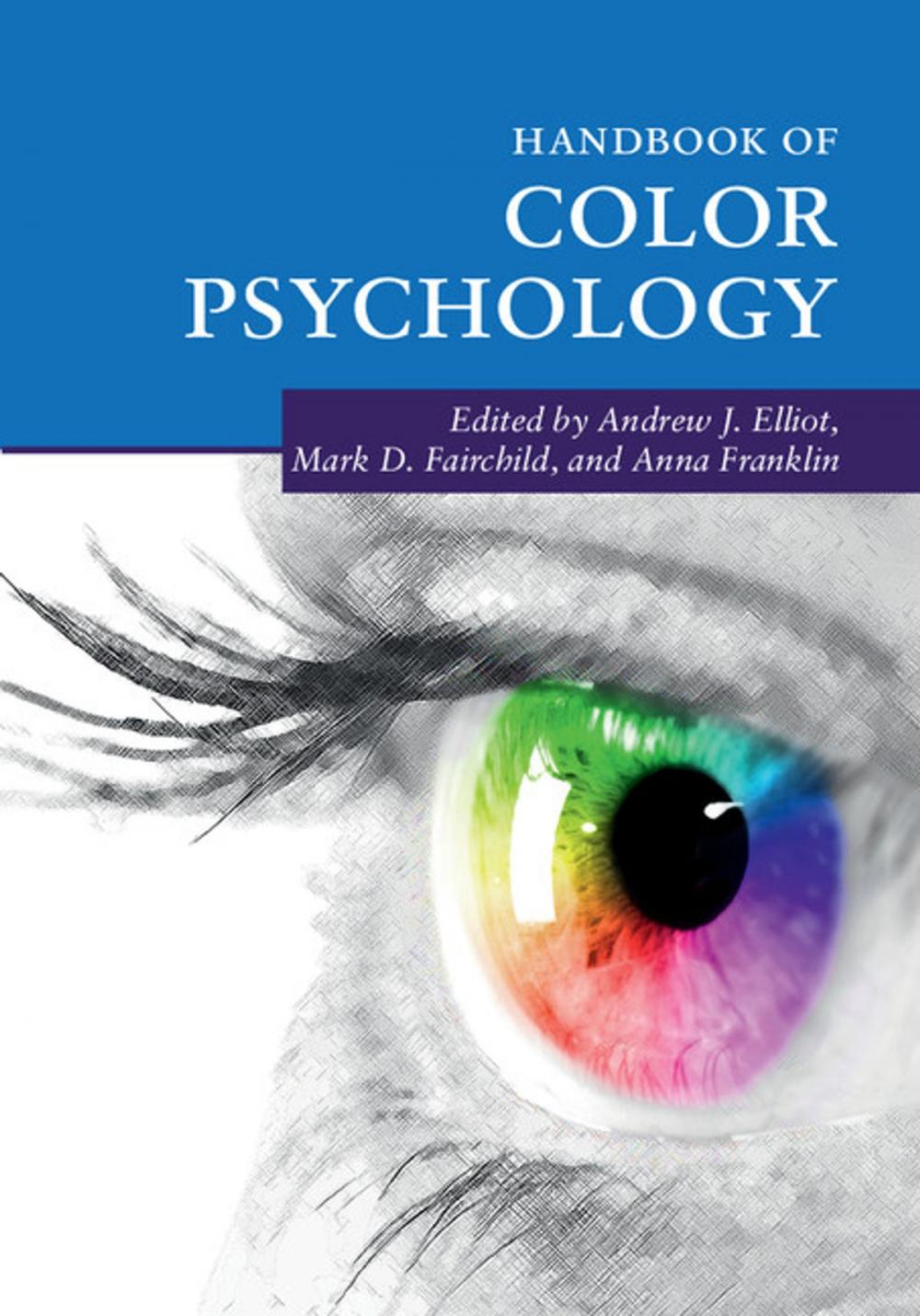 Big bigCover of Handbook of Color Psychology