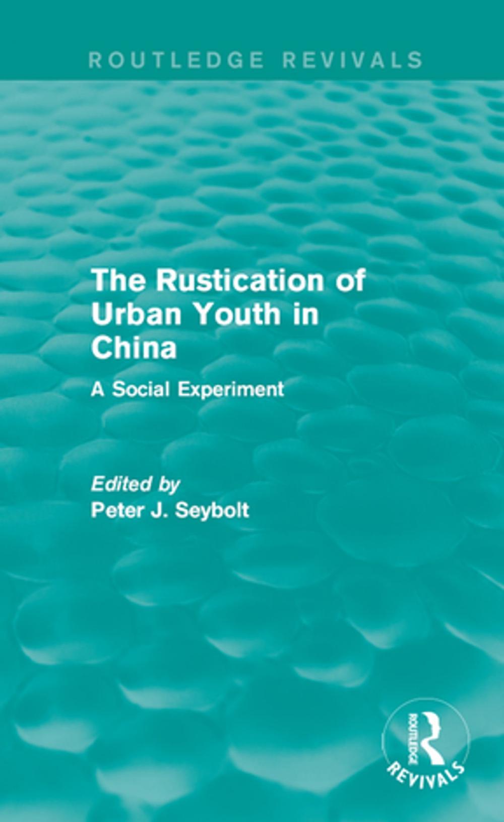 Big bigCover of The Rustication of Urban Youth in China