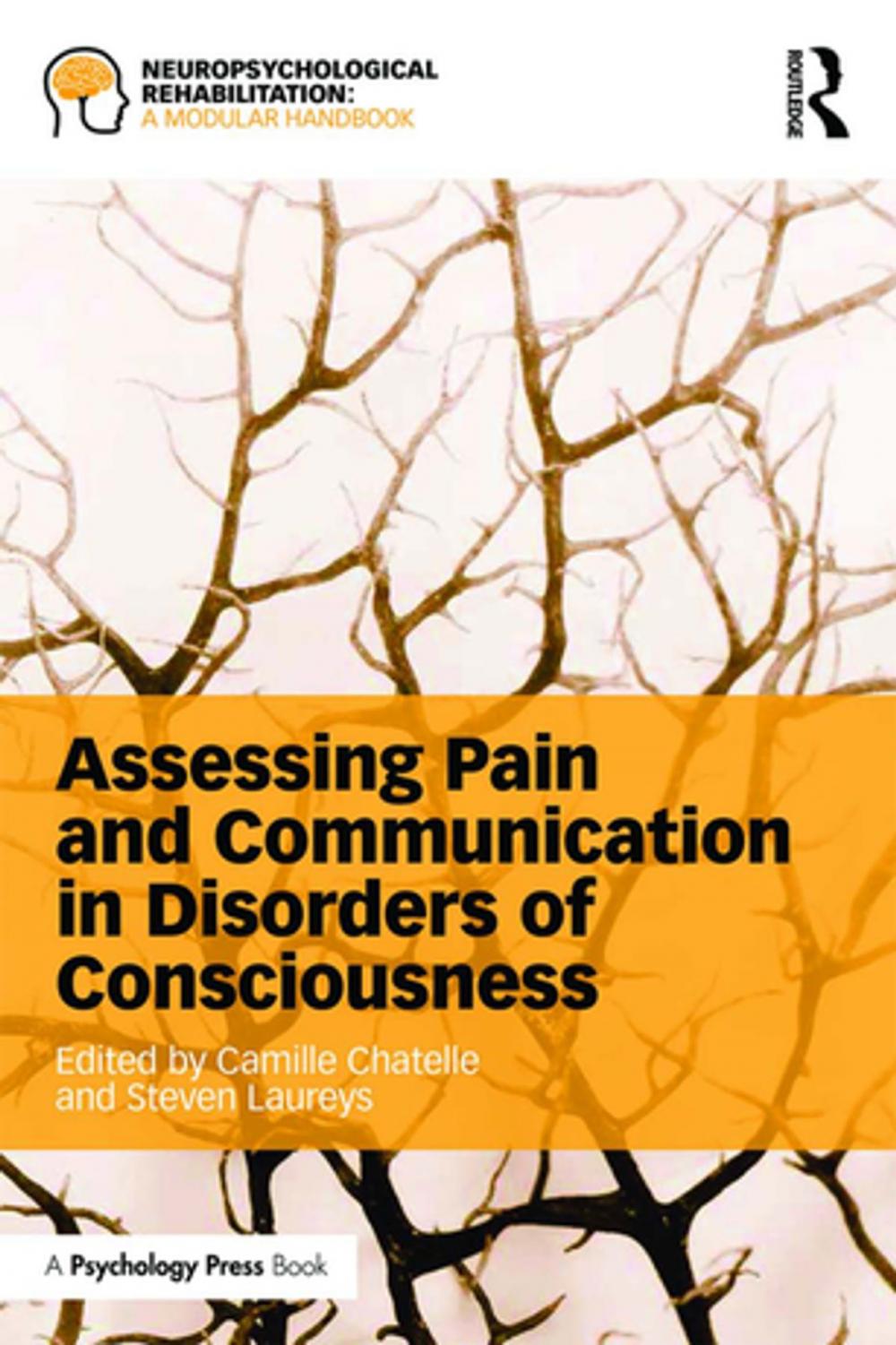 Big bigCover of Assessing Pain and Communication in Disorders of Consciousness