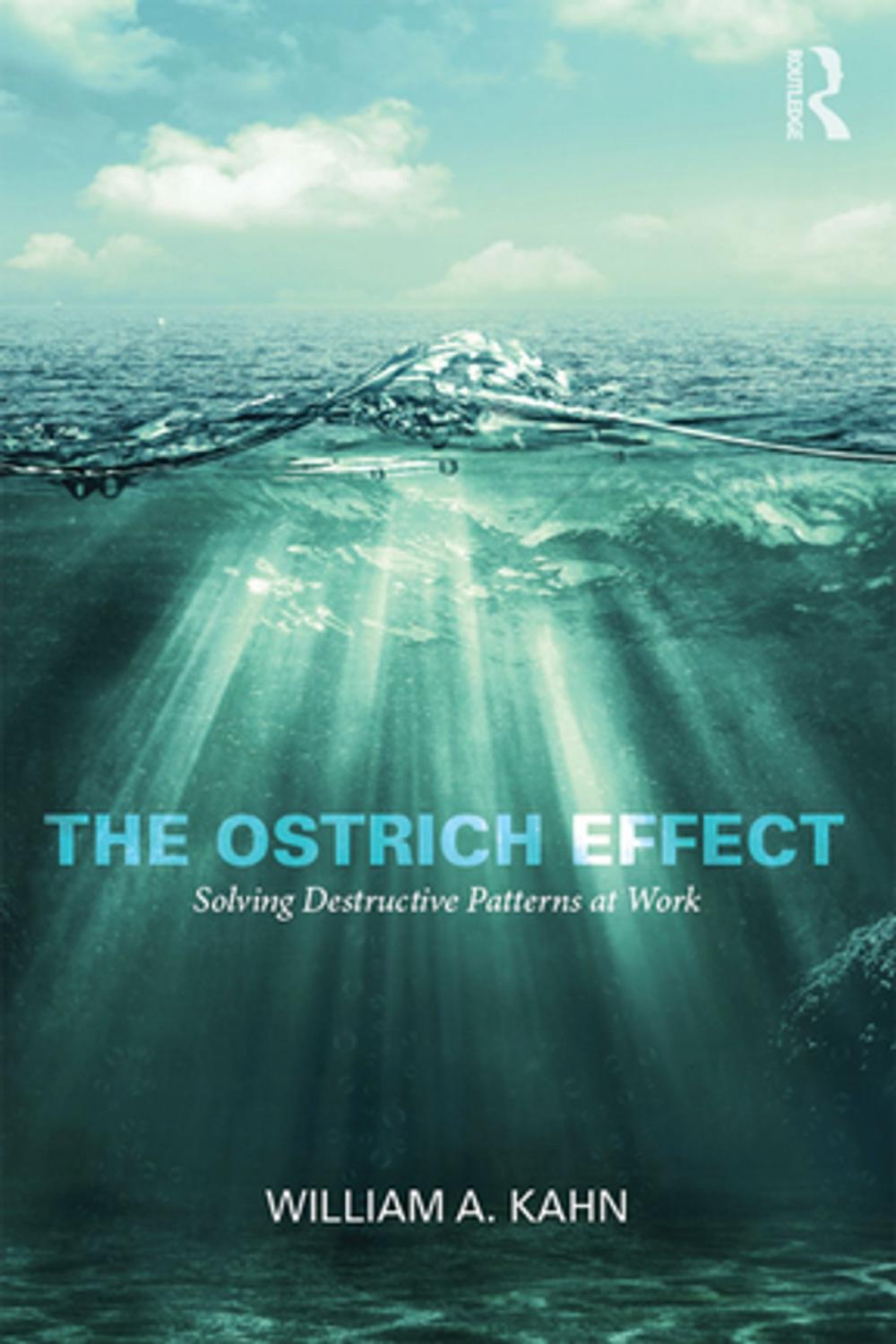 Big bigCover of The Ostrich Effect