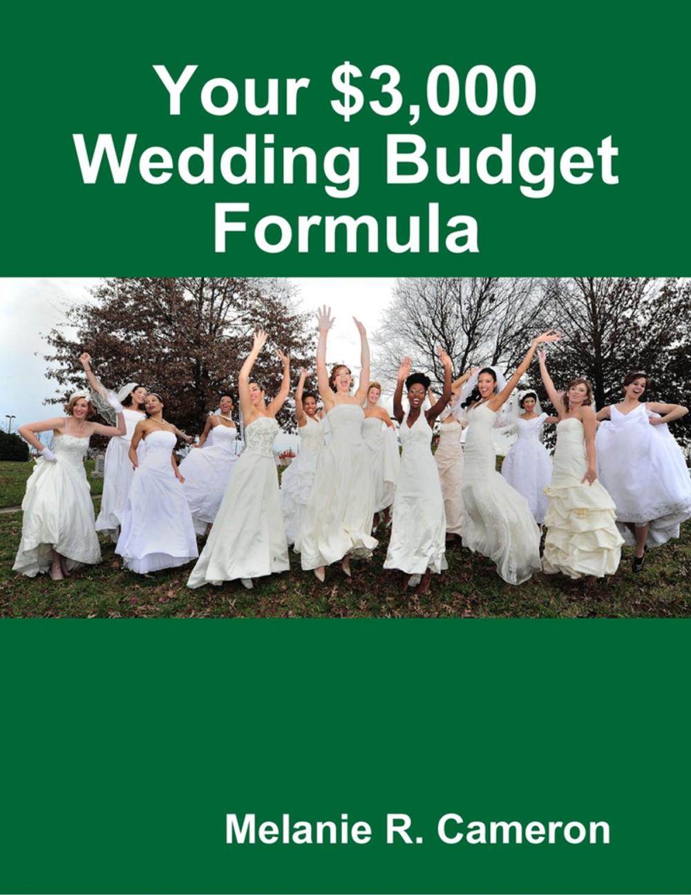 Big bigCover of Your $3,000 Wedding Budget Formula