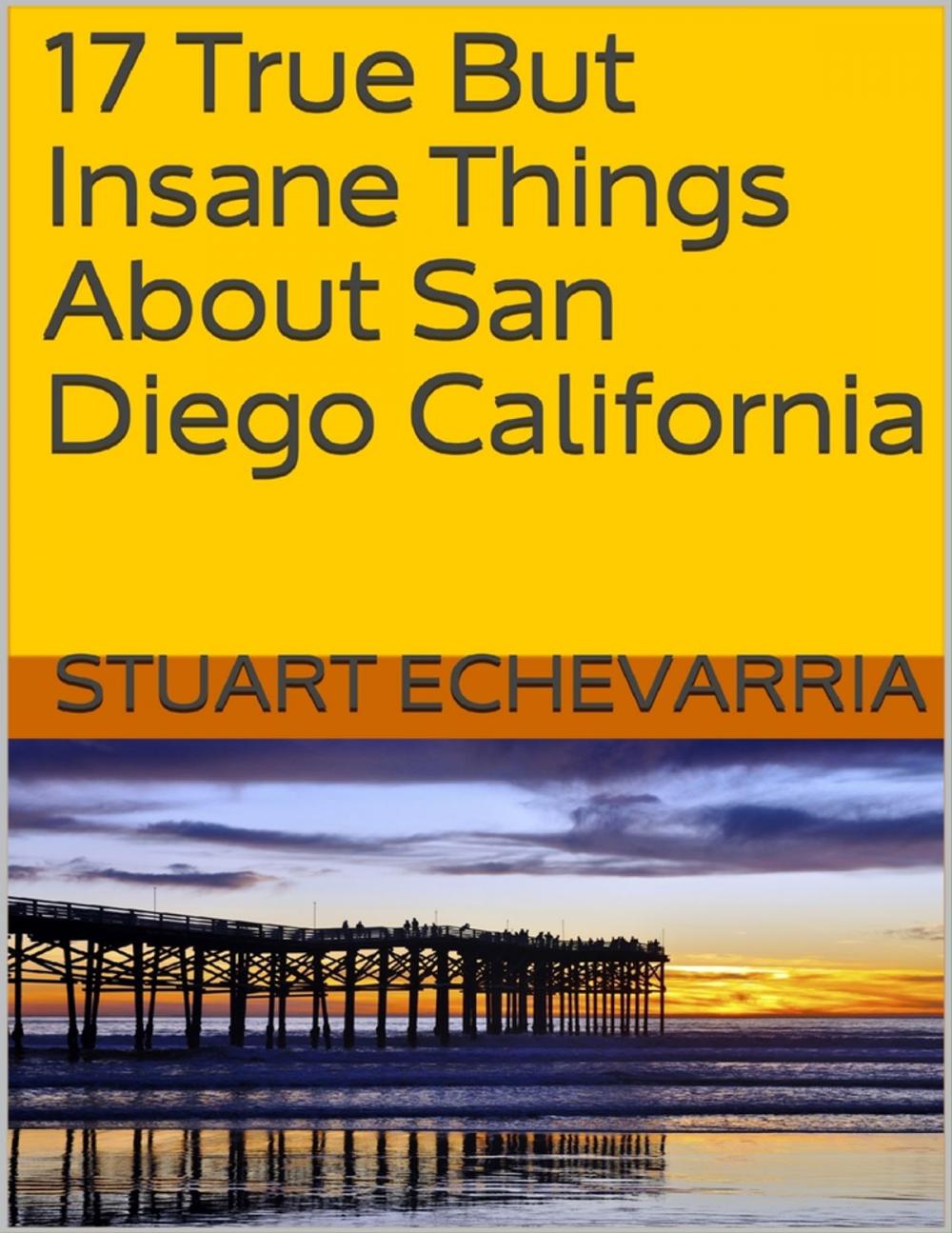 Big bigCover of 17 True But Insane Things About San Diego California