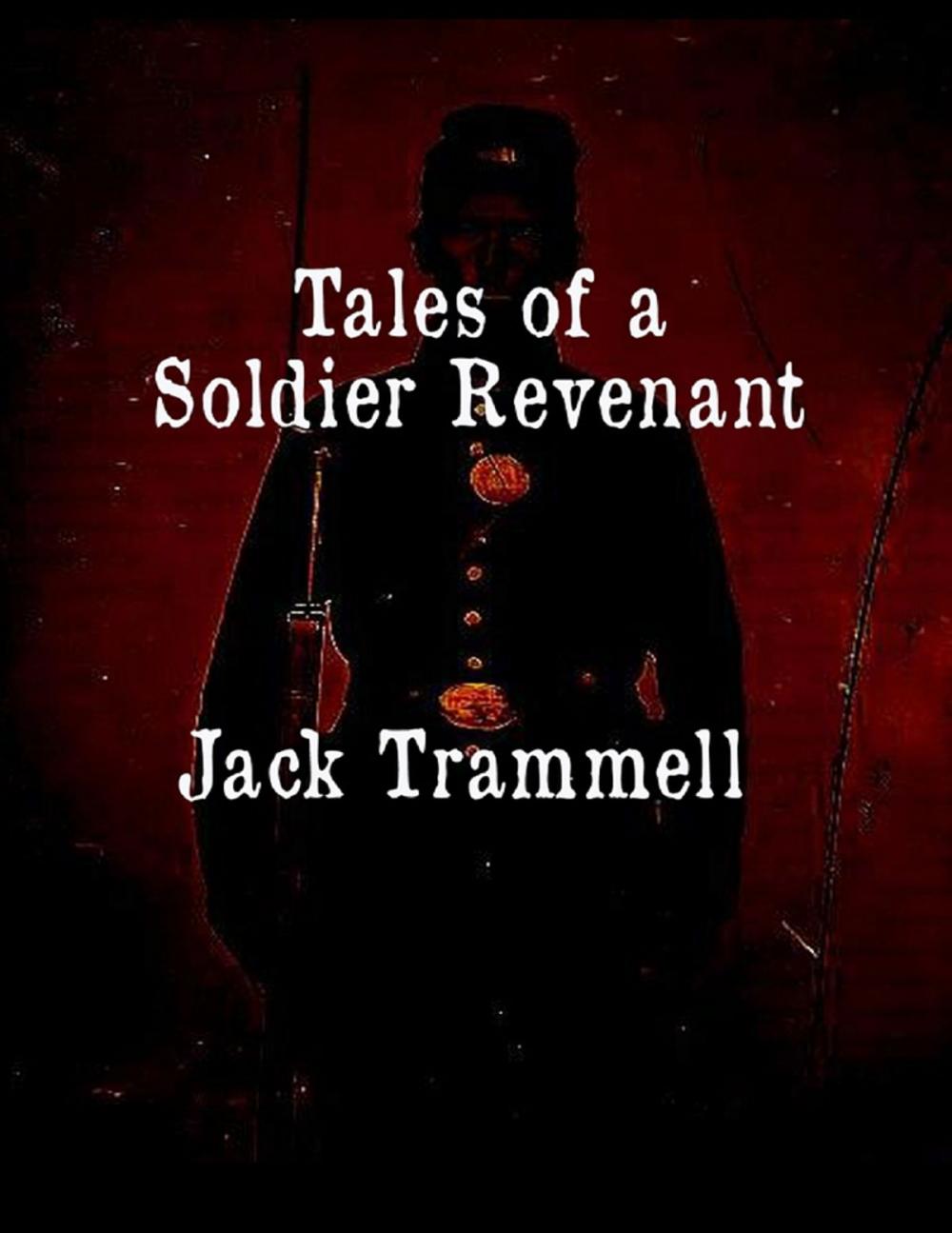 Big bigCover of Tales of a Soldier Revenant