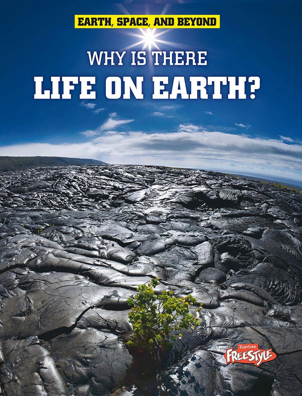 Big bigCover of Why Is There Life on Earth?