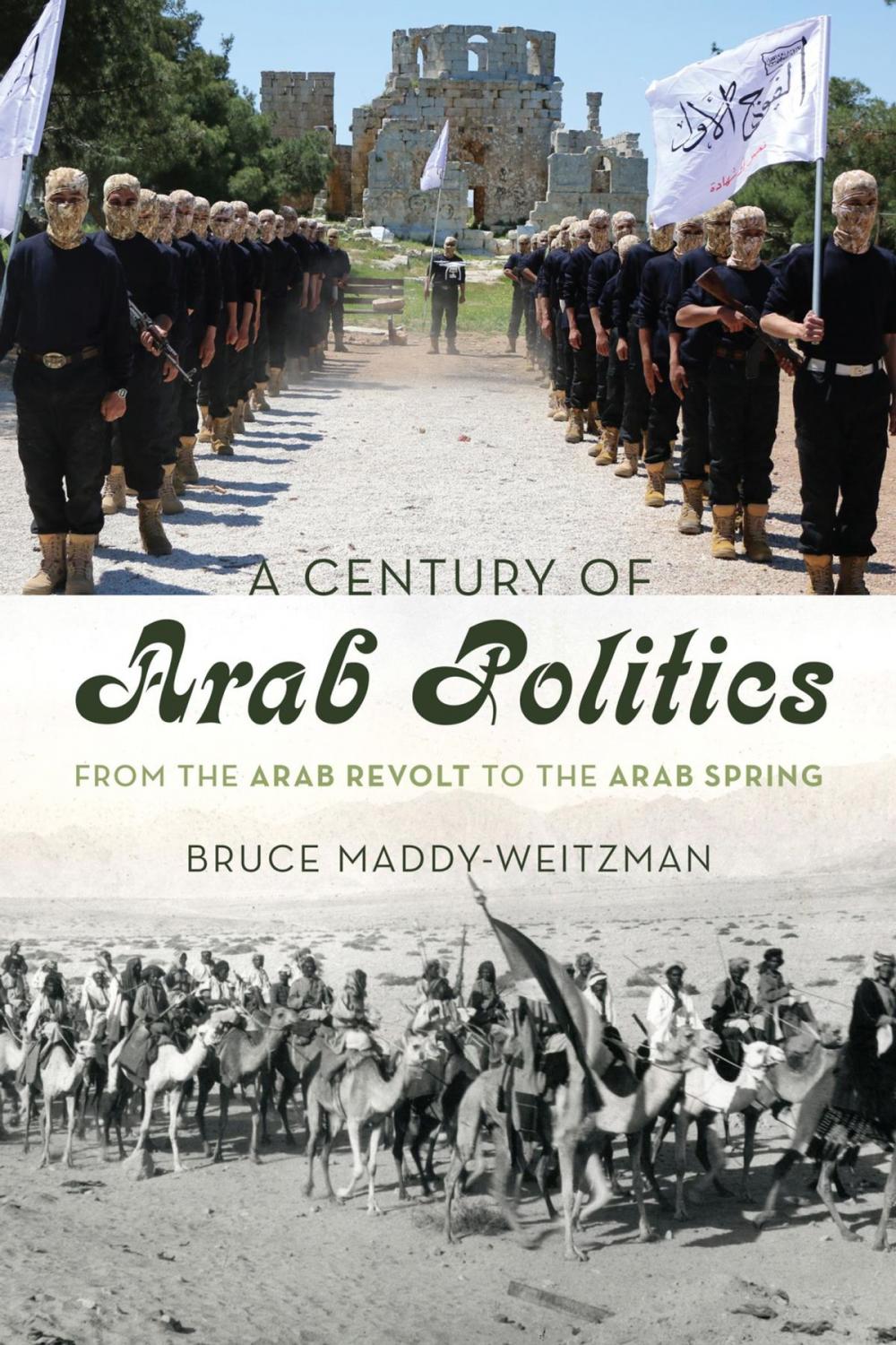 Big bigCover of A Century of Arab Politics