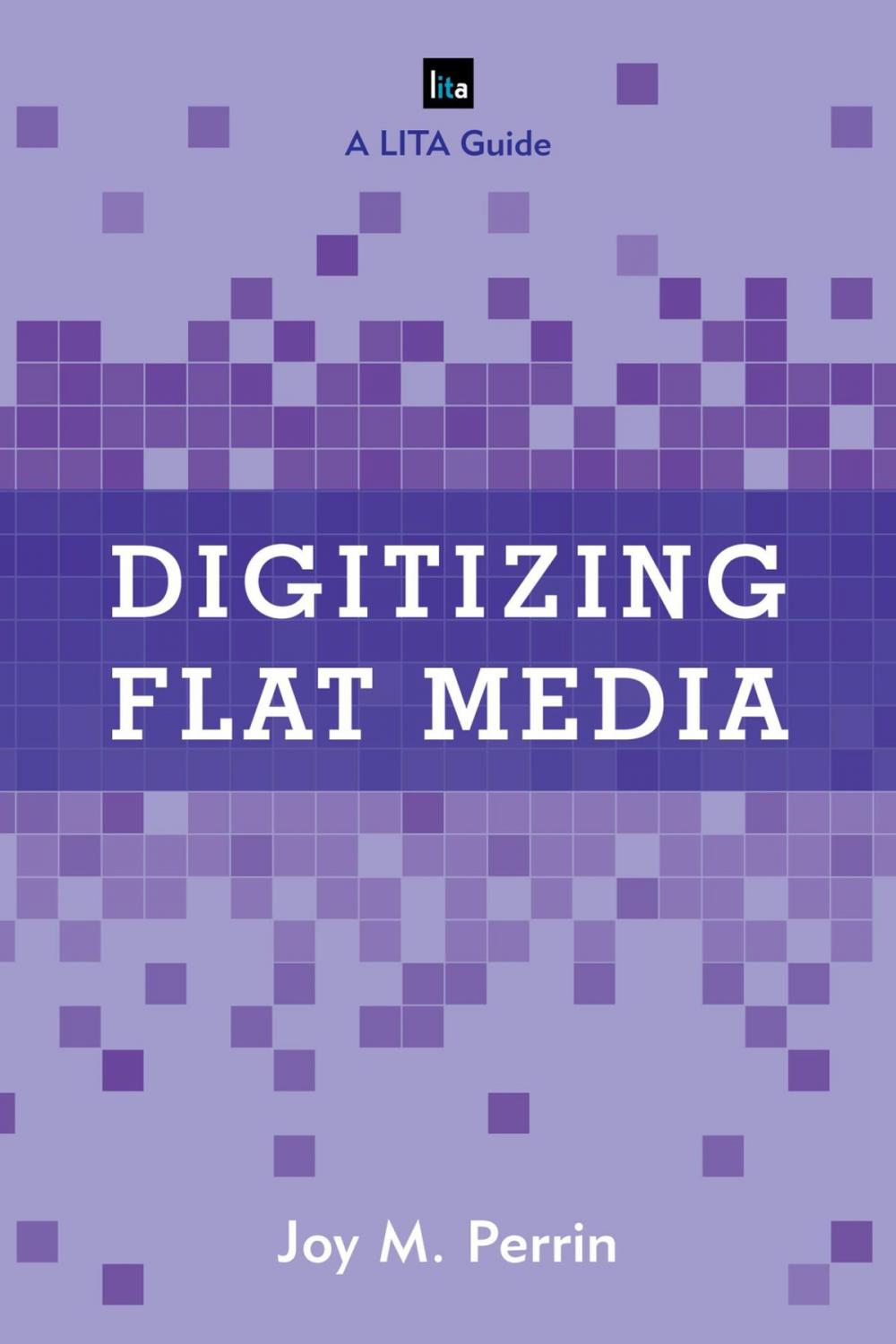 Big bigCover of Digitizing Flat Media