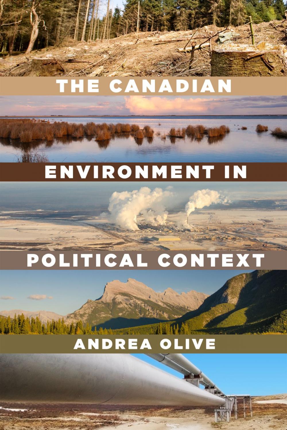 Big bigCover of The Canadian Environment in Political Context