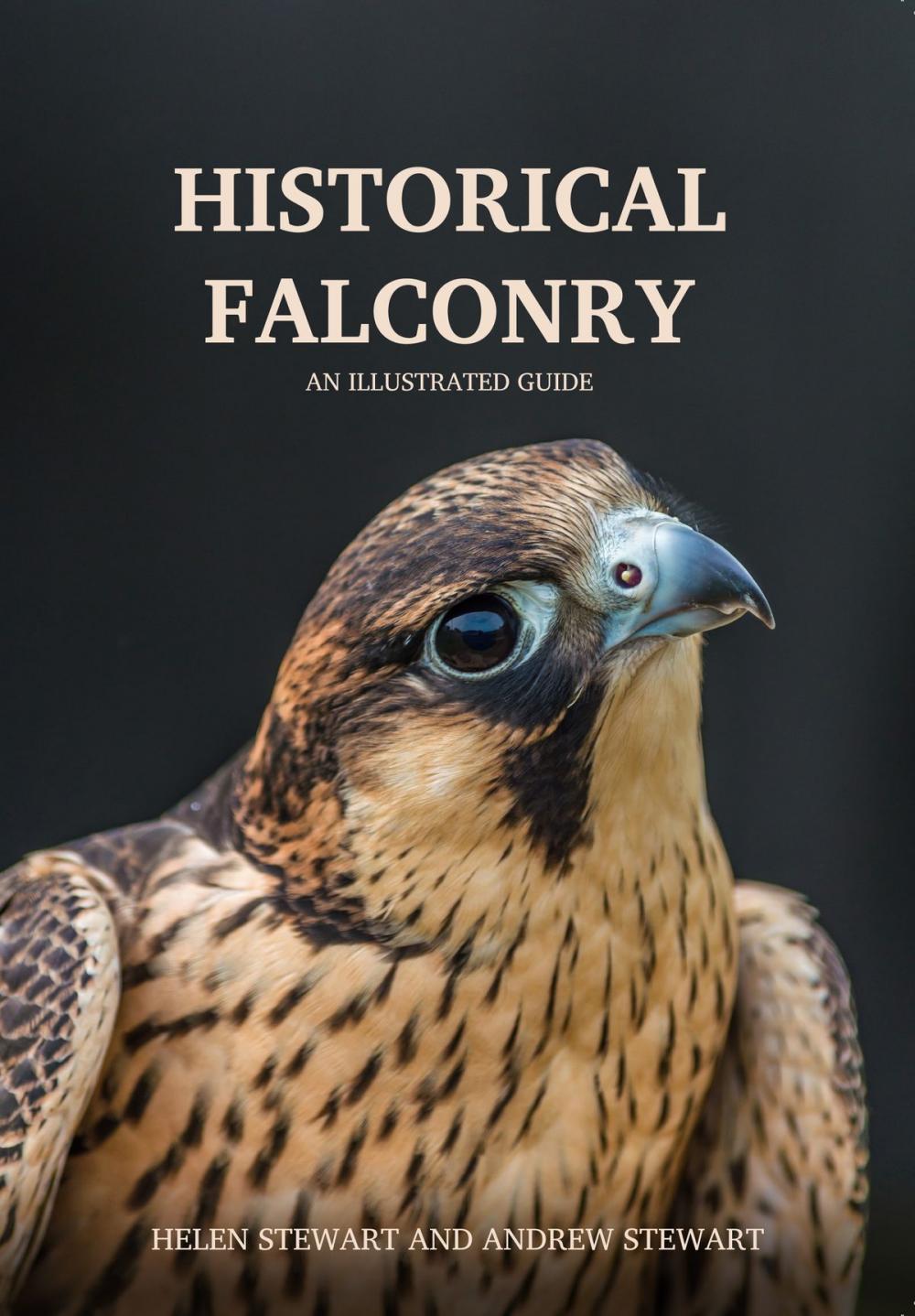 Big bigCover of Historical Falconry