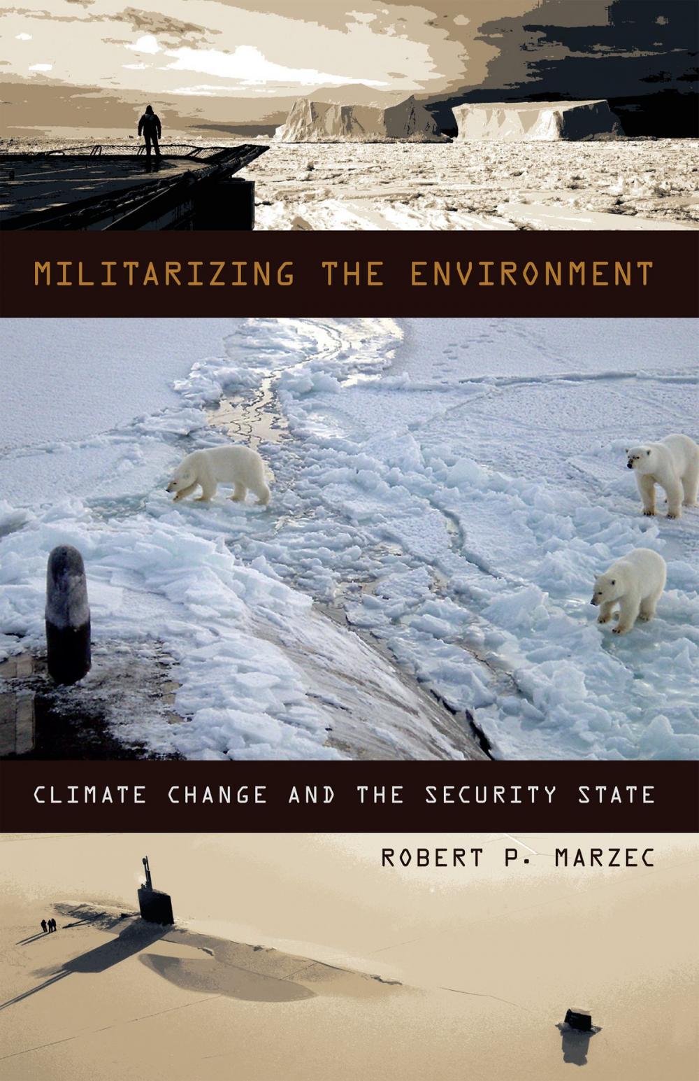 Big bigCover of Militarizing the Environment