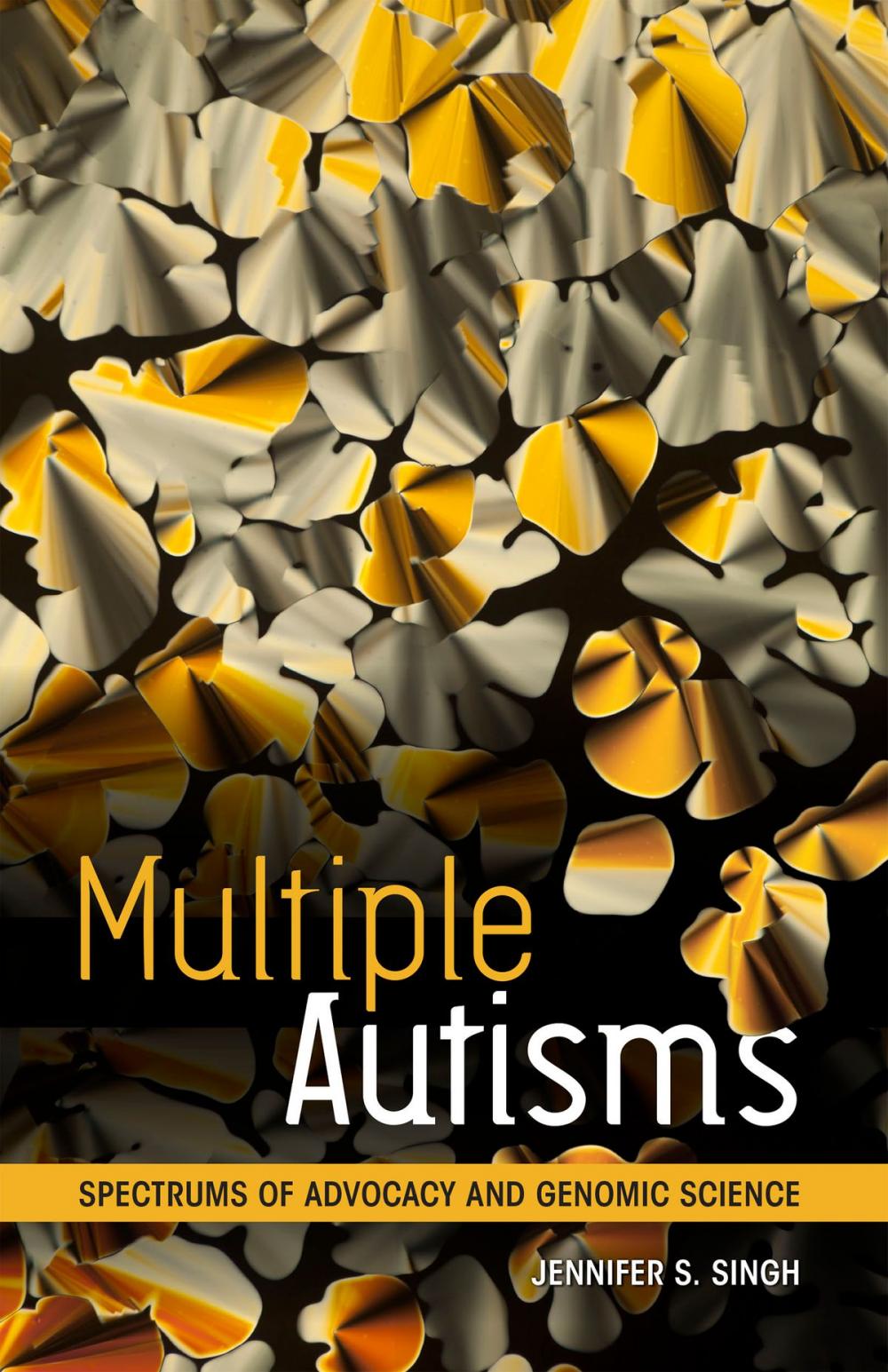 Big bigCover of Multiple Autisms