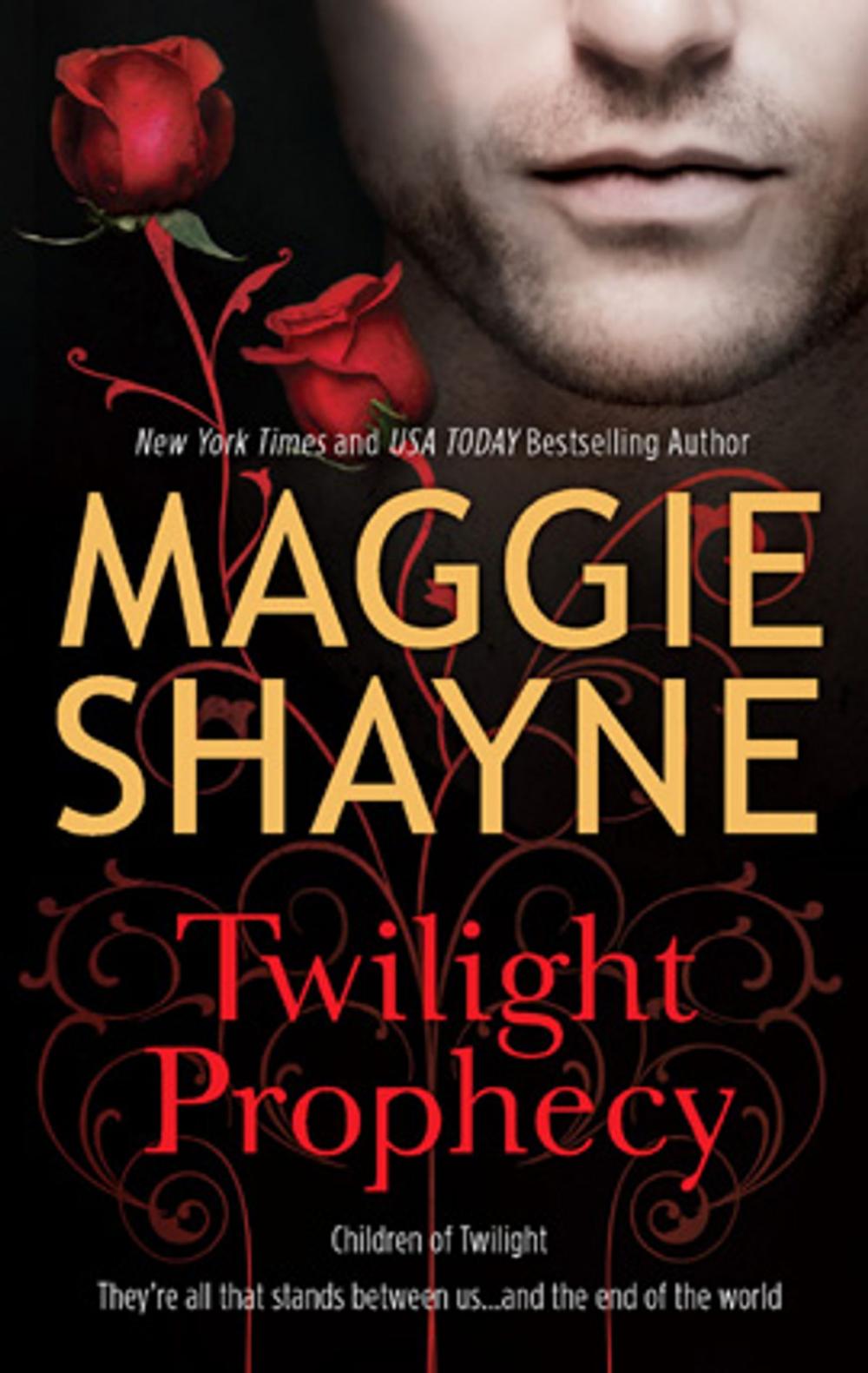 Big bigCover of Twilight Prophecy