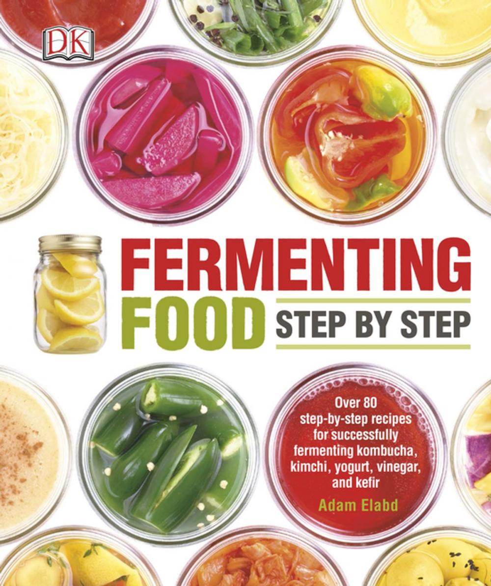 Big bigCover of Fermenting Food Step by Step