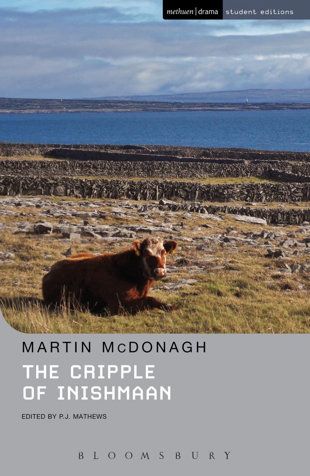 Big bigCover of The Cripple of Inishmaan