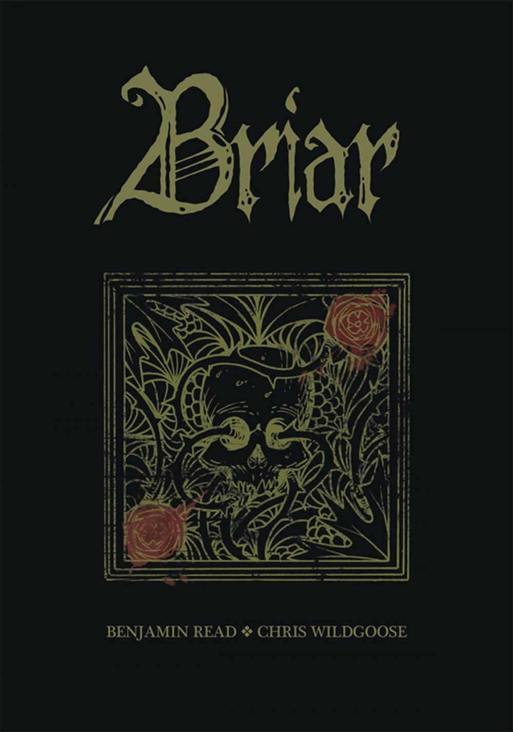 Big bigCover of Briar