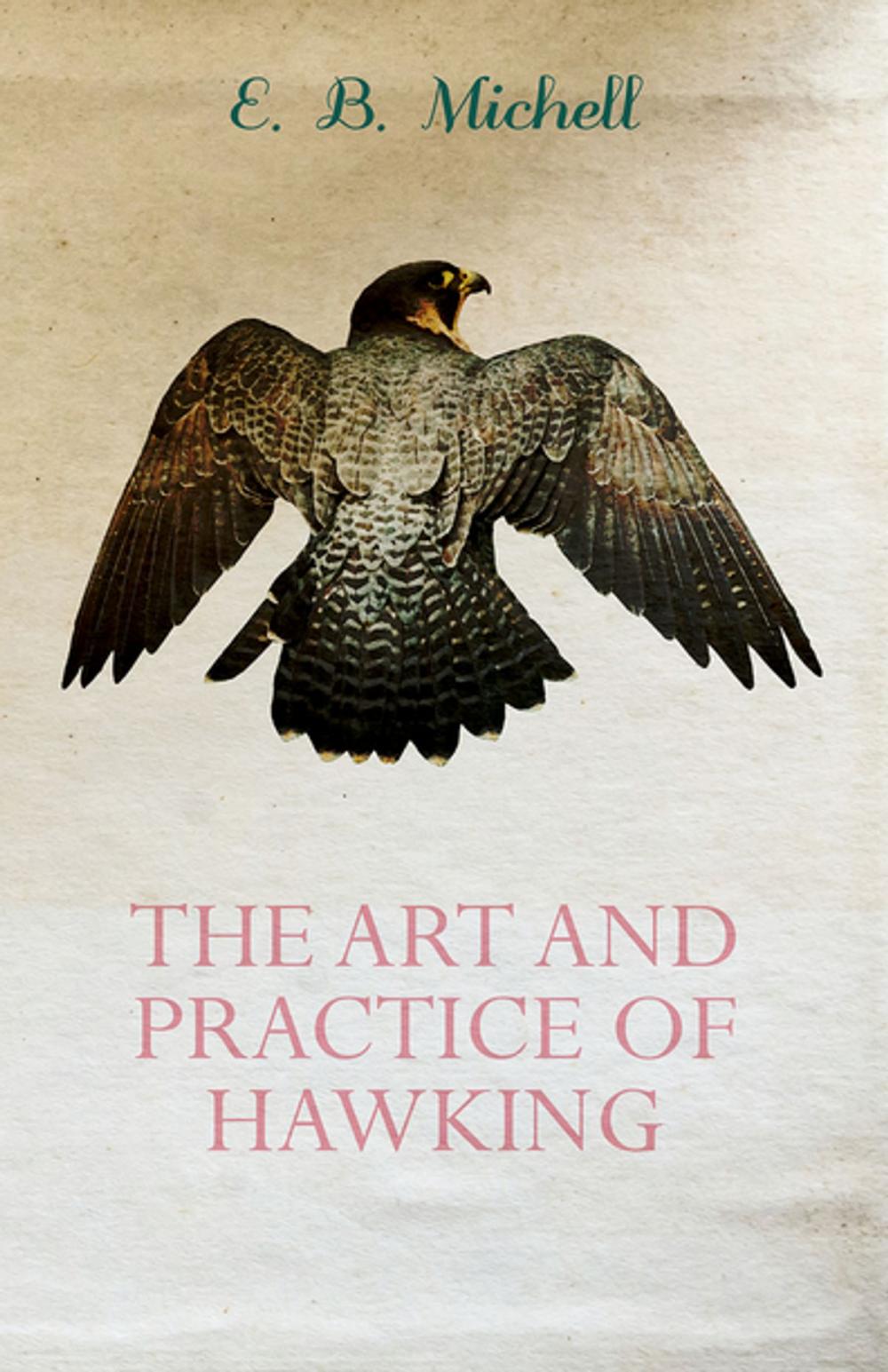 Big bigCover of The Art and Practice of Hawking