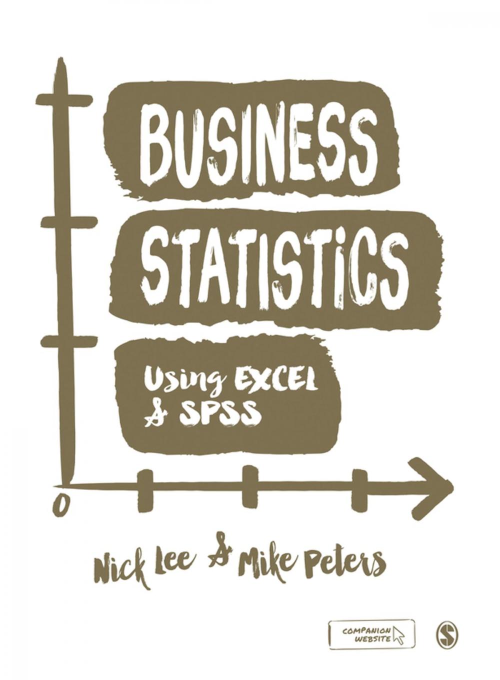 Big bigCover of Business Statistics Using EXCEL and SPSS