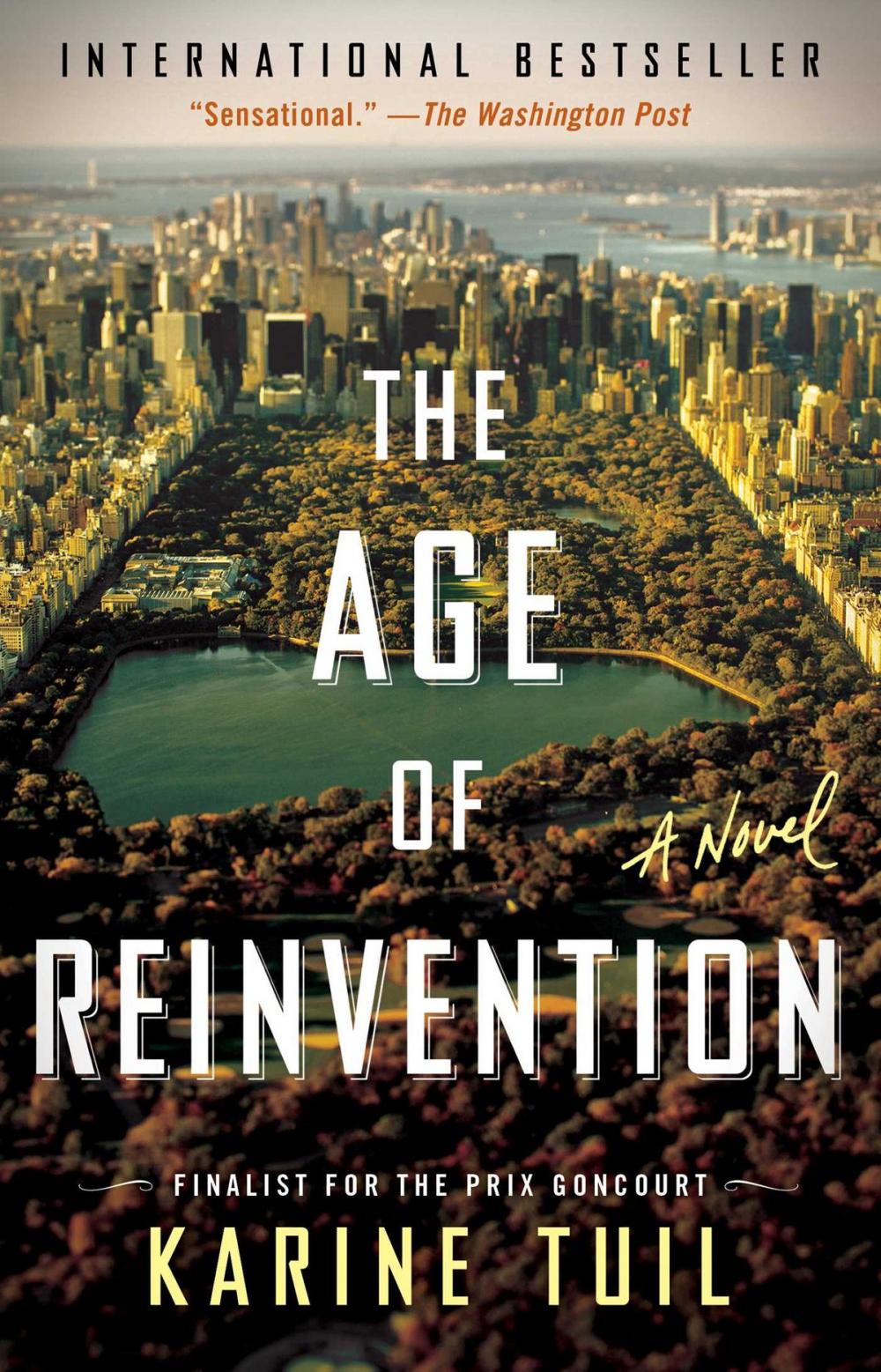 Big bigCover of The Age of Reinvention