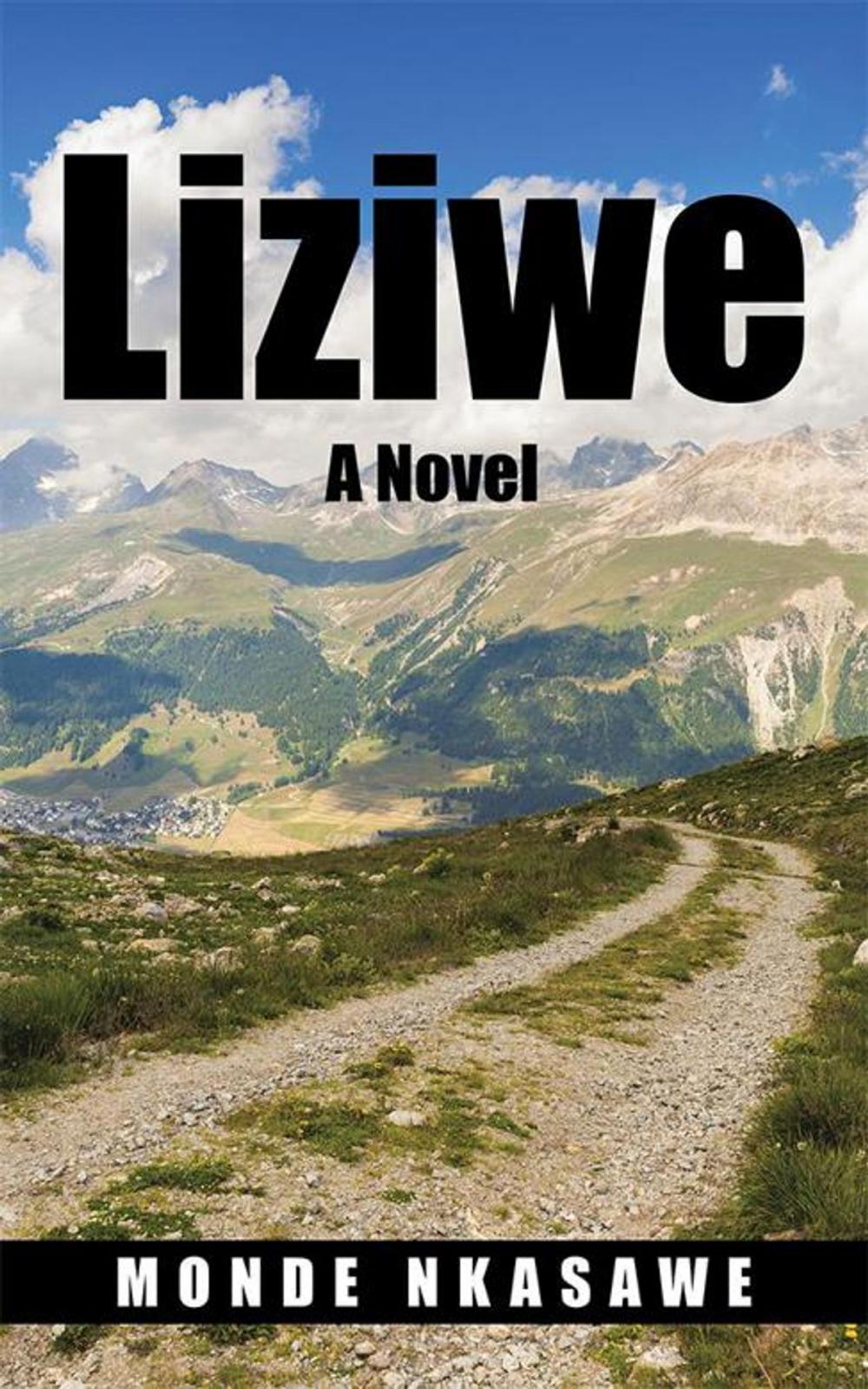 Big bigCover of Liziwe