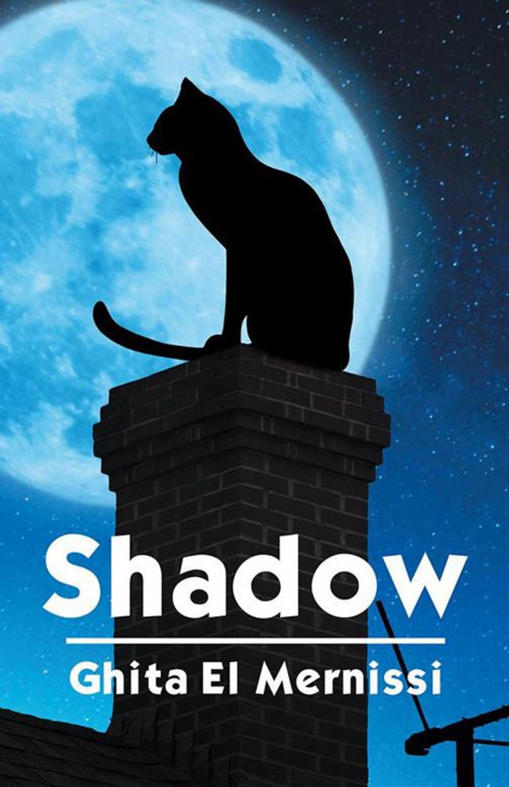 Big bigCover of Shadow