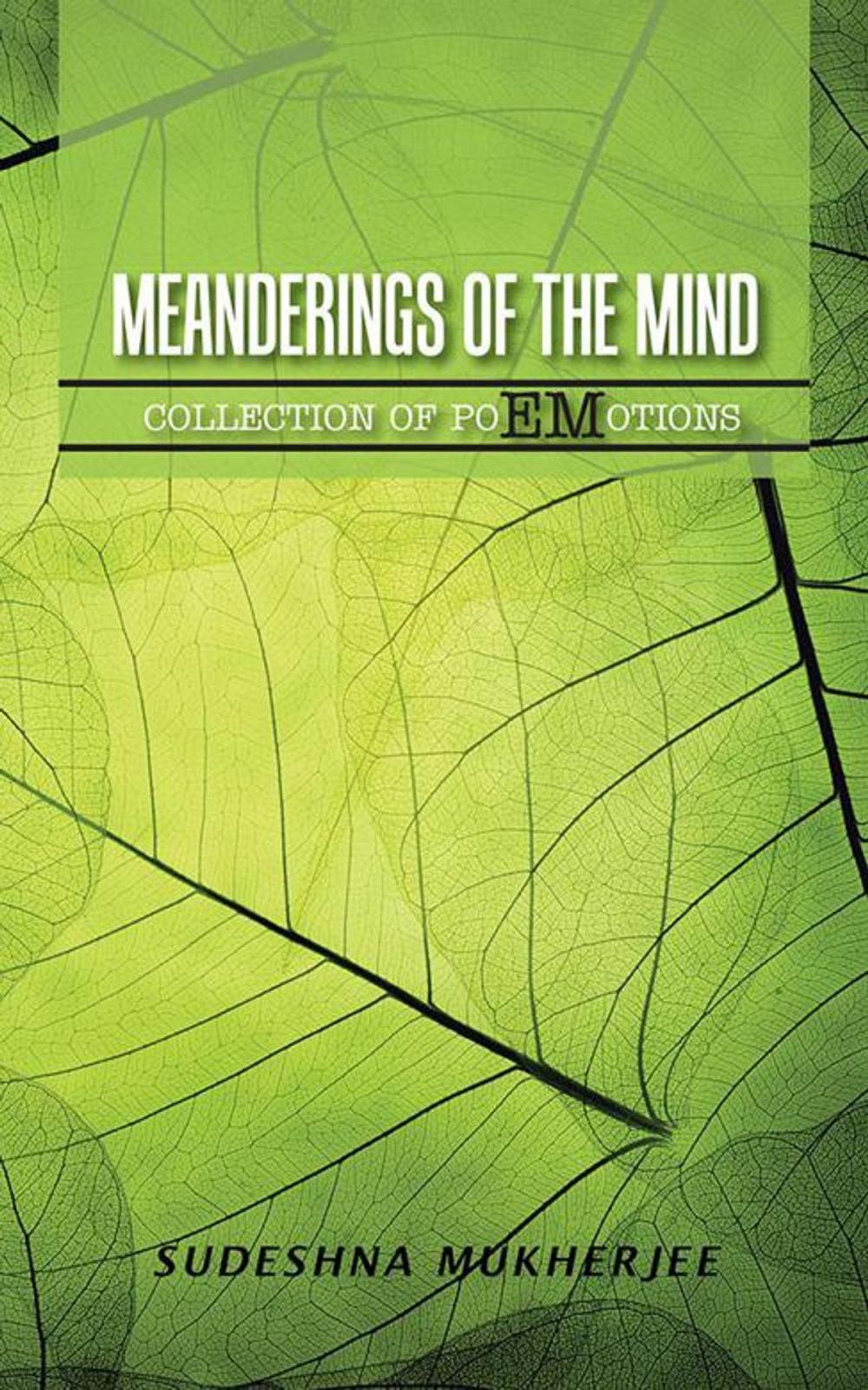 Big bigCover of Meanderings of the Mind