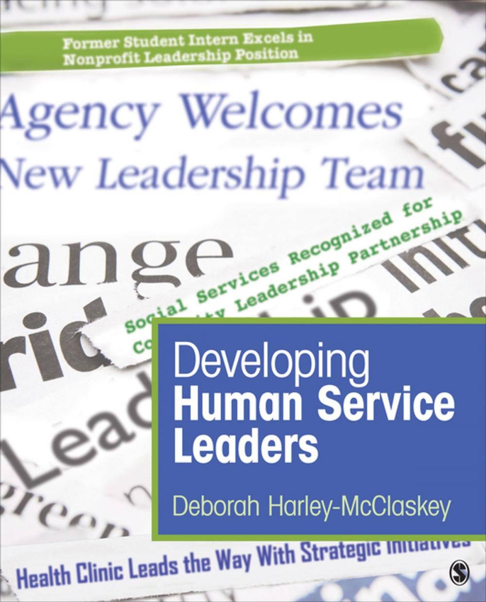 Big bigCover of Developing Human Service Leaders