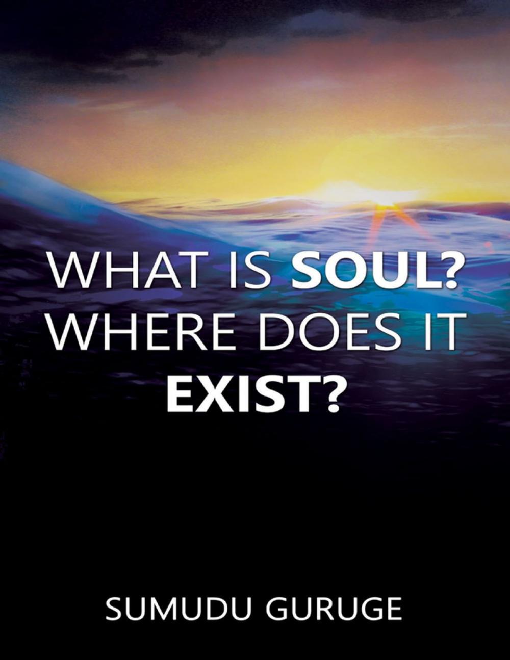 Big bigCover of What Is Soul? Where Does It Exist?