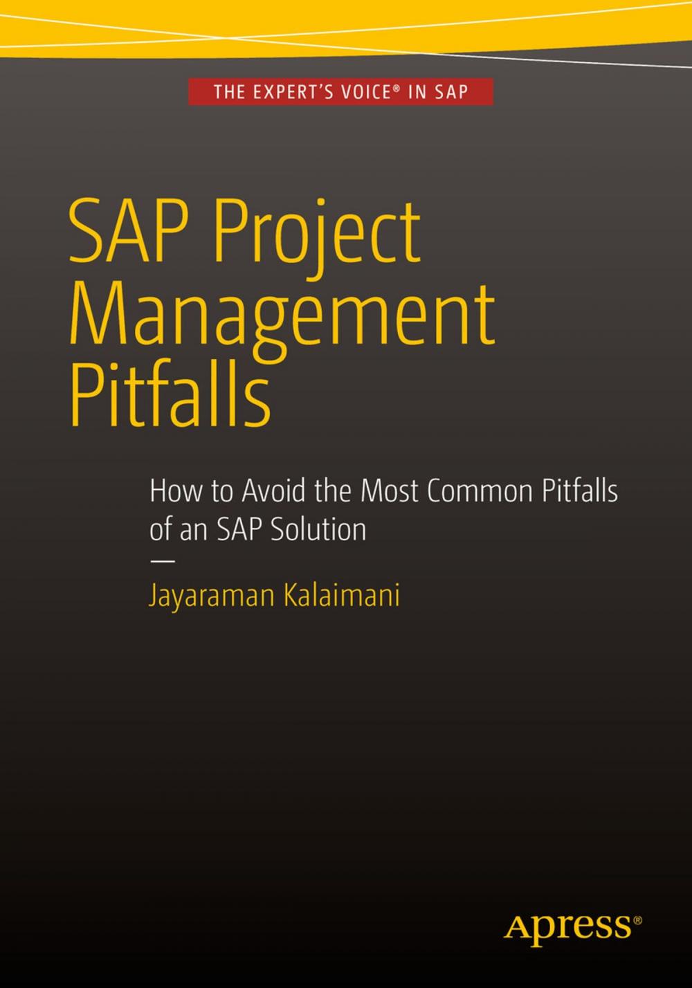 Big bigCover of SAP Project Management Pitfalls