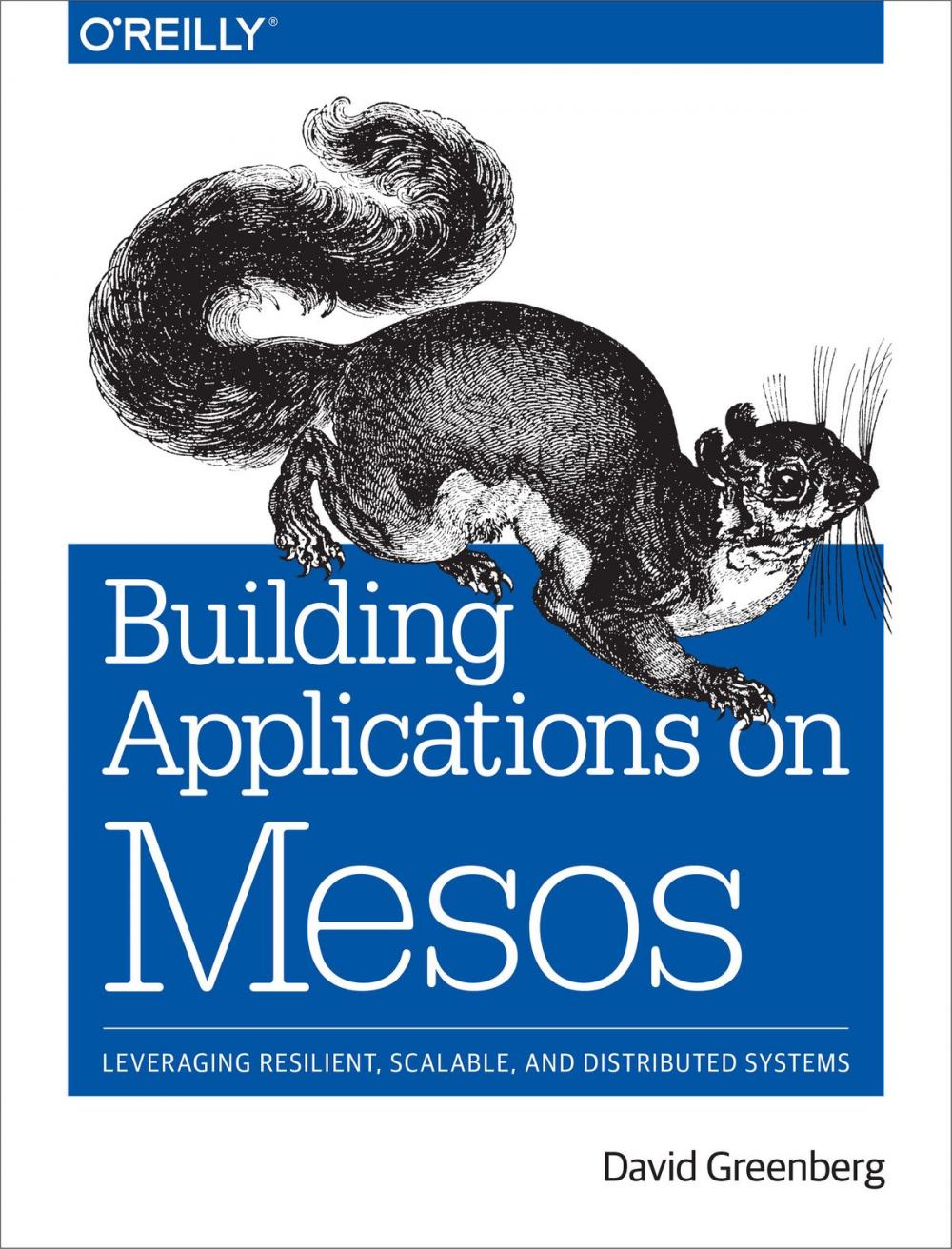 Big bigCover of Building Applications on Mesos