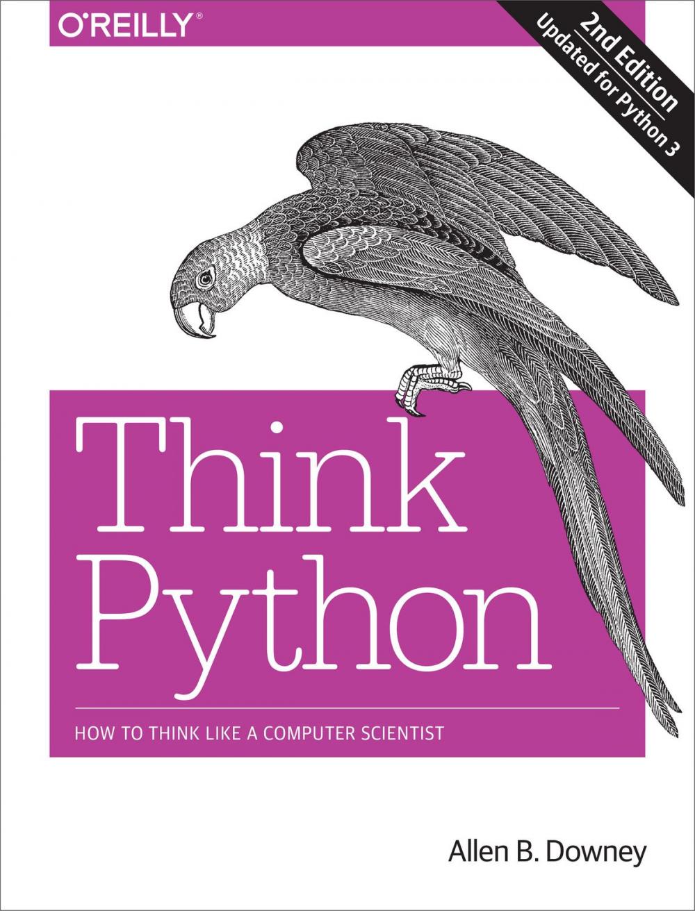 Big bigCover of Think Python