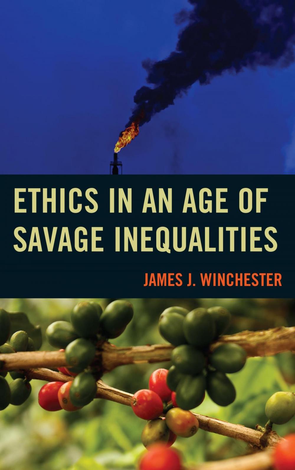 Big bigCover of Ethics in an Age of Savage Inequalities