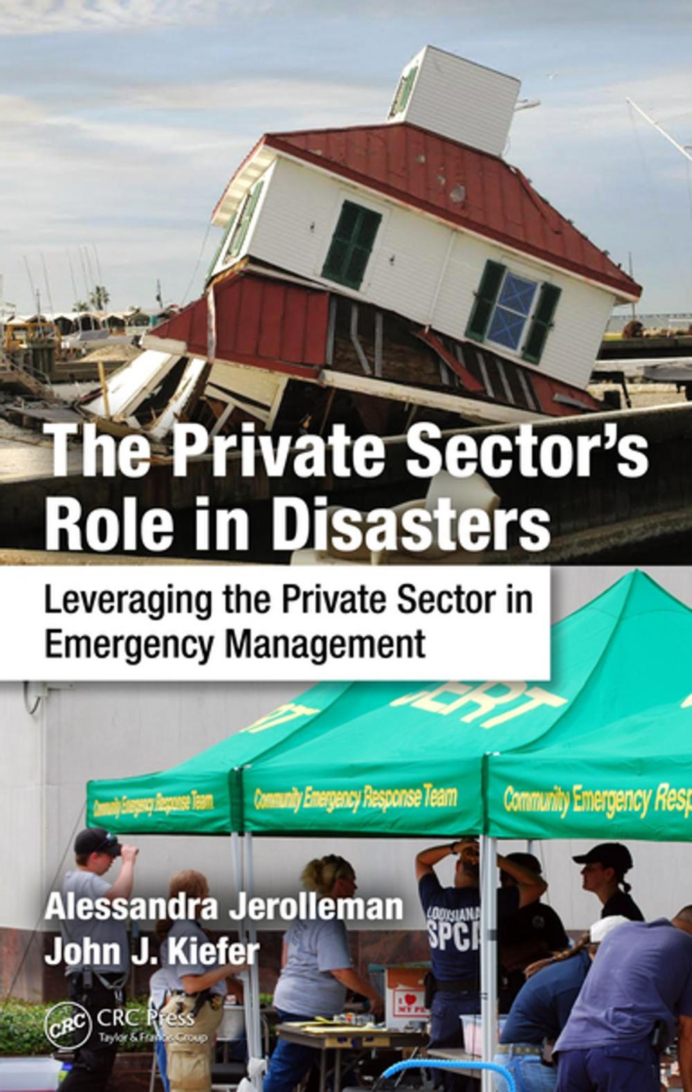 Big bigCover of The Private Sector's Role in Disasters