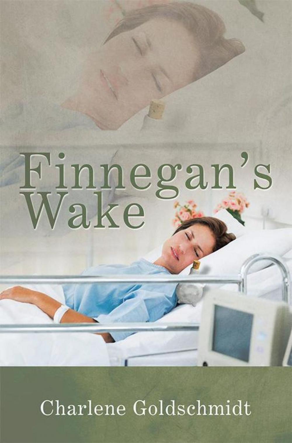 Big bigCover of Finnegan’S Wake