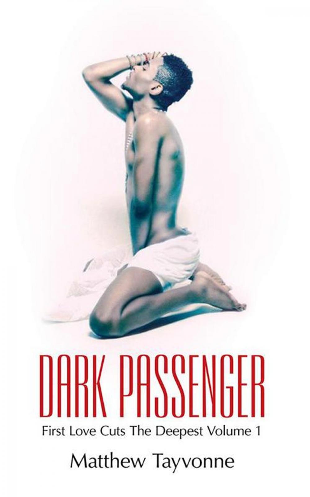 Big bigCover of Dark Passenger