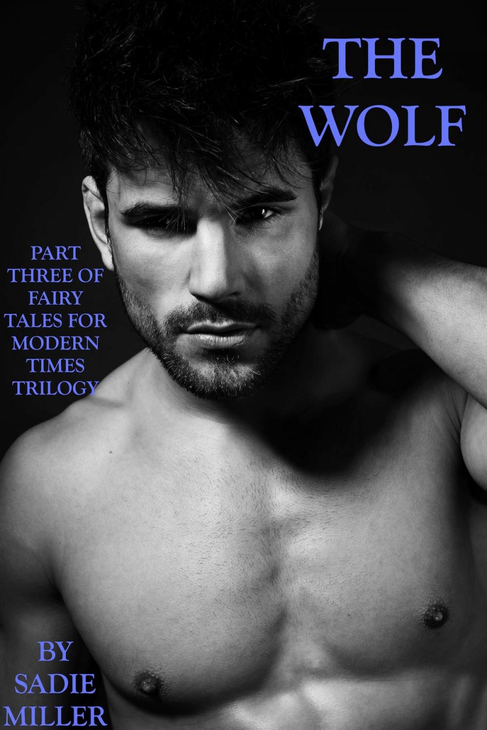 Big bigCover of The Wolf - The Third in the Fairy Tales for Modern Times Trilogy