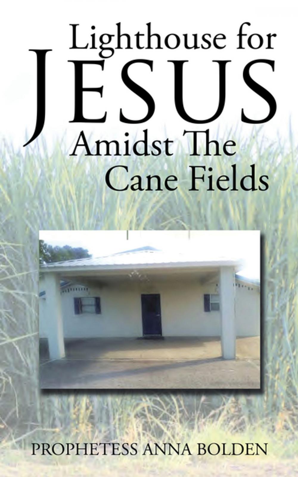 Big bigCover of Lighthouse for Jesus Amidst the Cane Fields