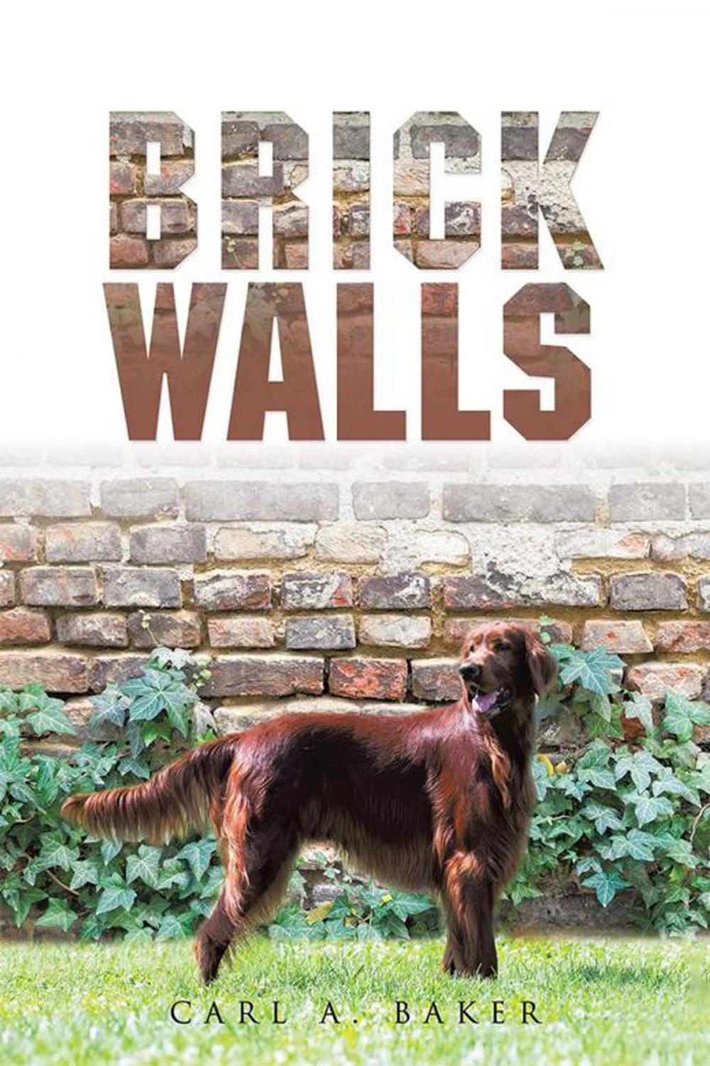 Big bigCover of Brick Walls