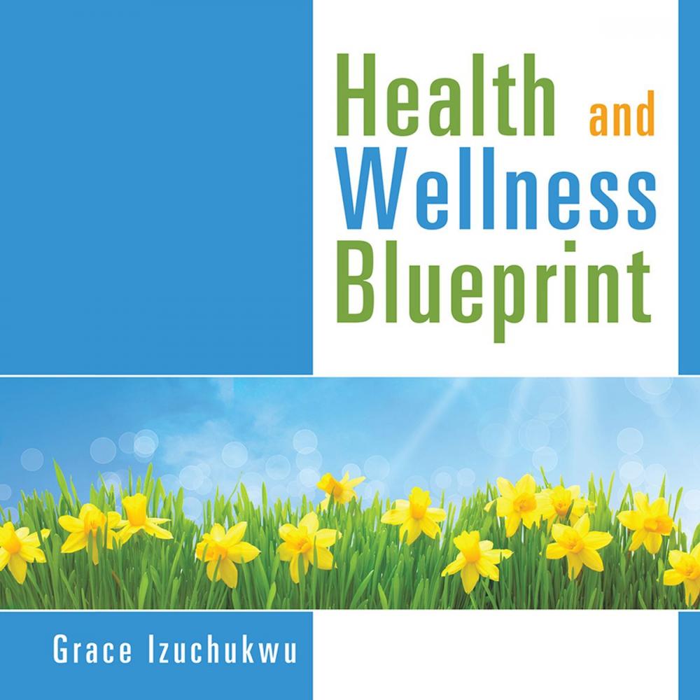 Big bigCover of Health and Wellness Blueprint