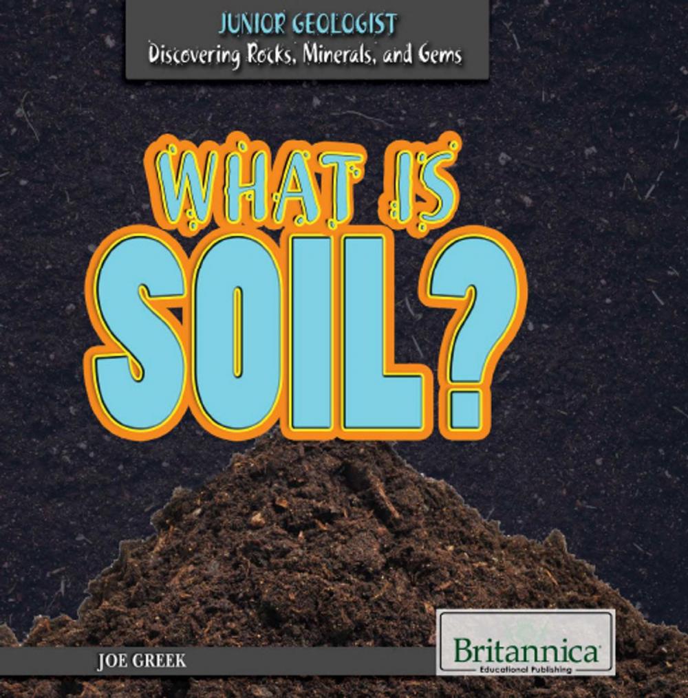 Big bigCover of What Is Soil?