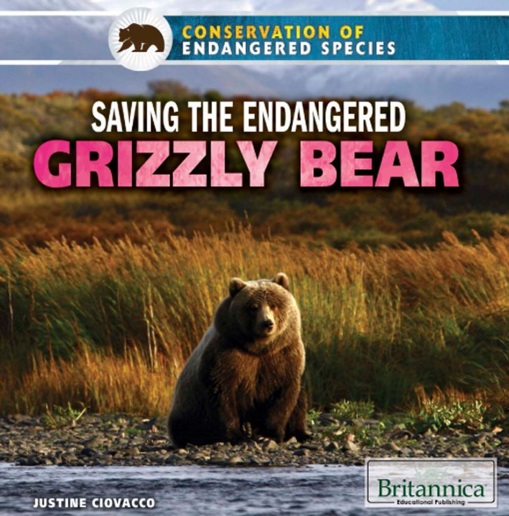 Big bigCover of Saving the Endangered Grizzly Bear