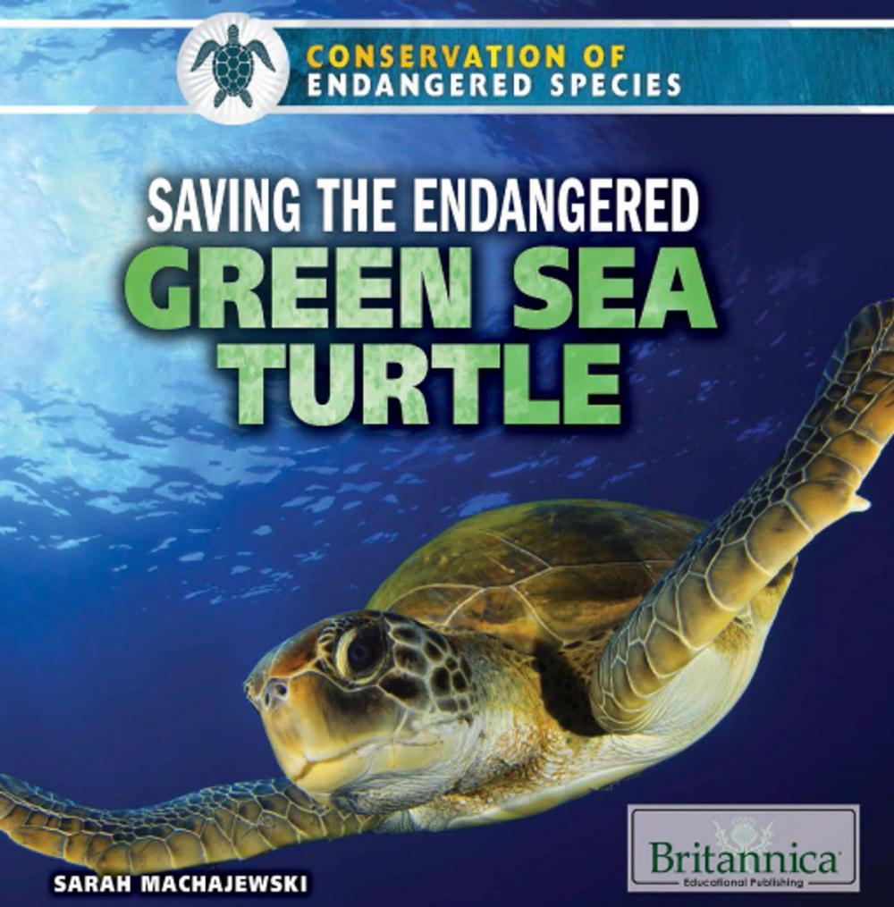 Big bigCover of Saving the Endangered Green Sea Turtle