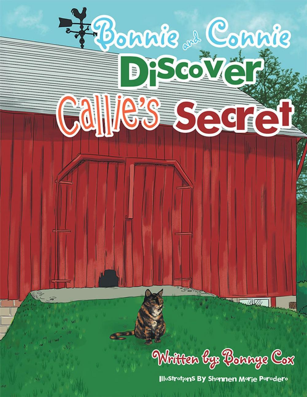 Big bigCover of Bonnie and Connie Discover Callie’S Secret