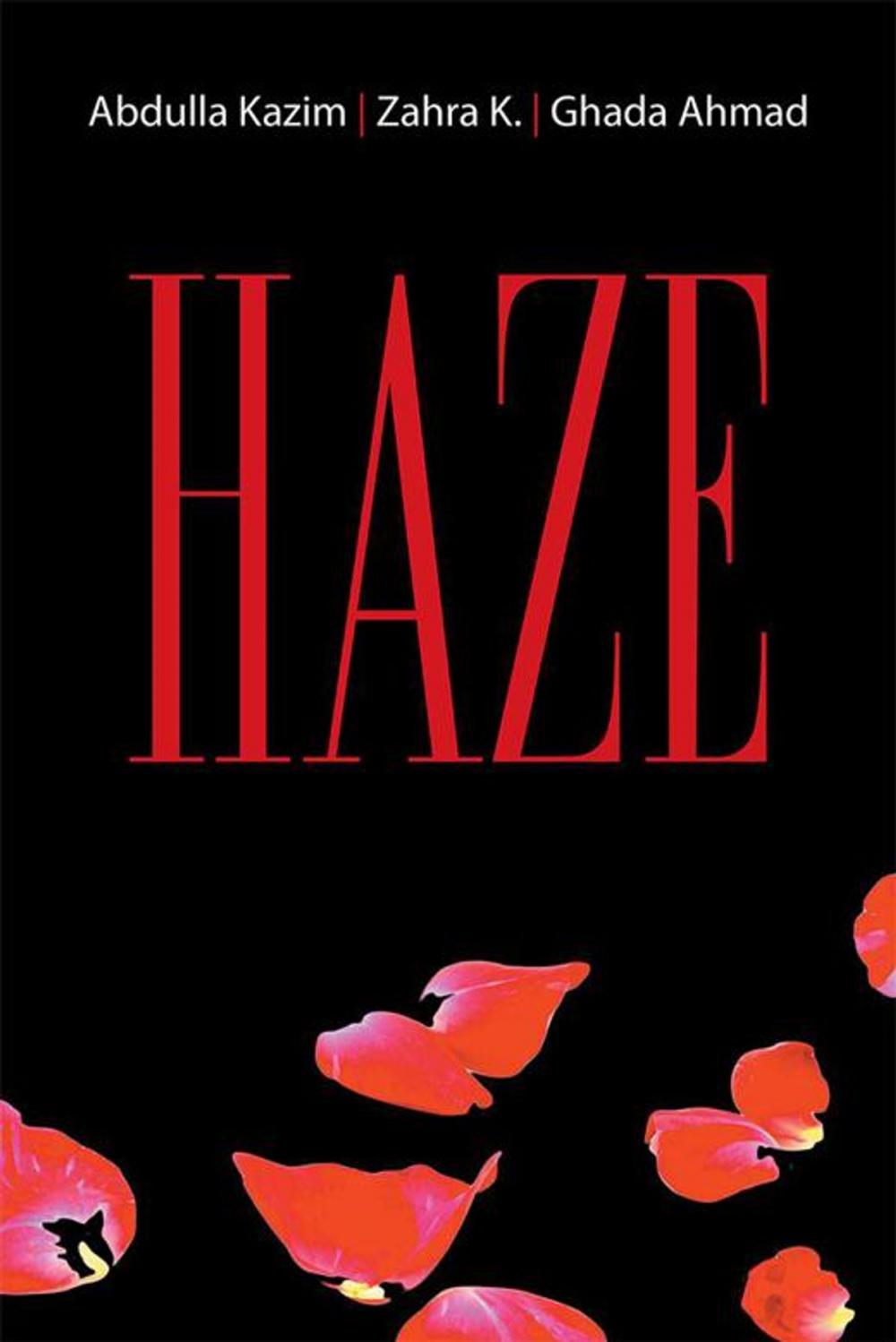 Big bigCover of Haze