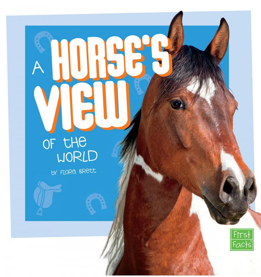 Big bigCover of A Horse's View of the World