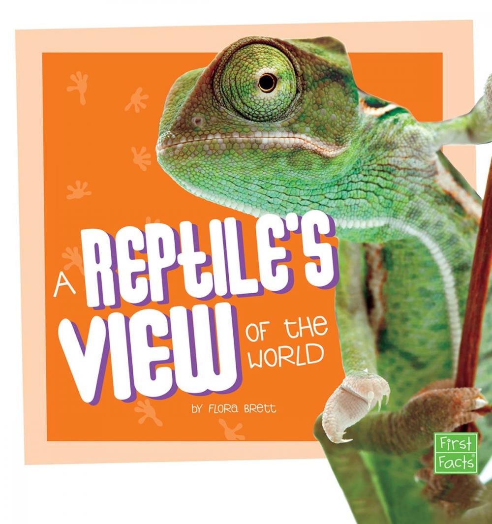 Big bigCover of A Reptile's View of the World