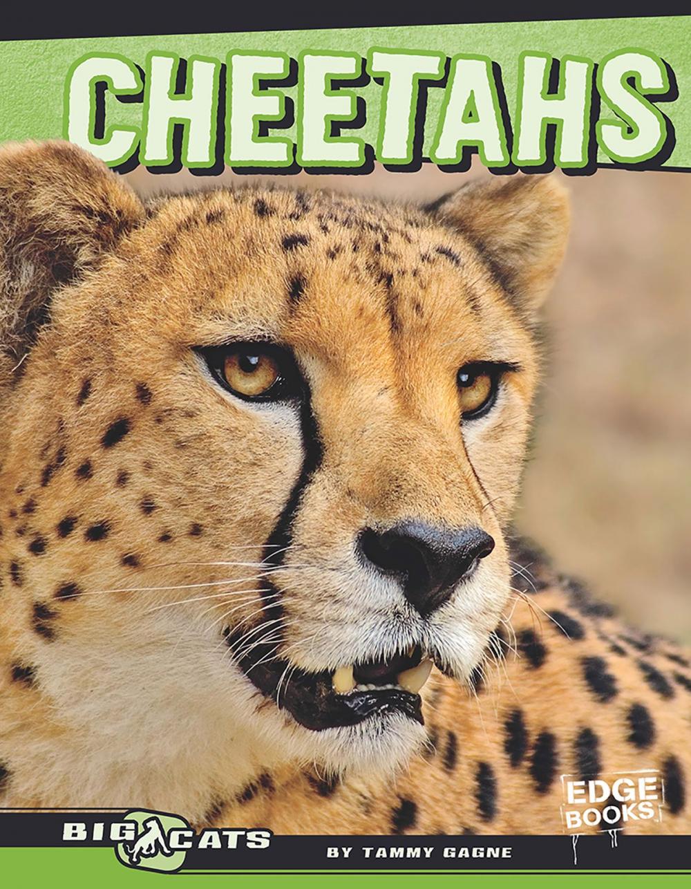 Big bigCover of Cheetahs