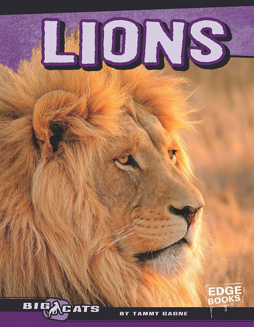 Big bigCover of Lions