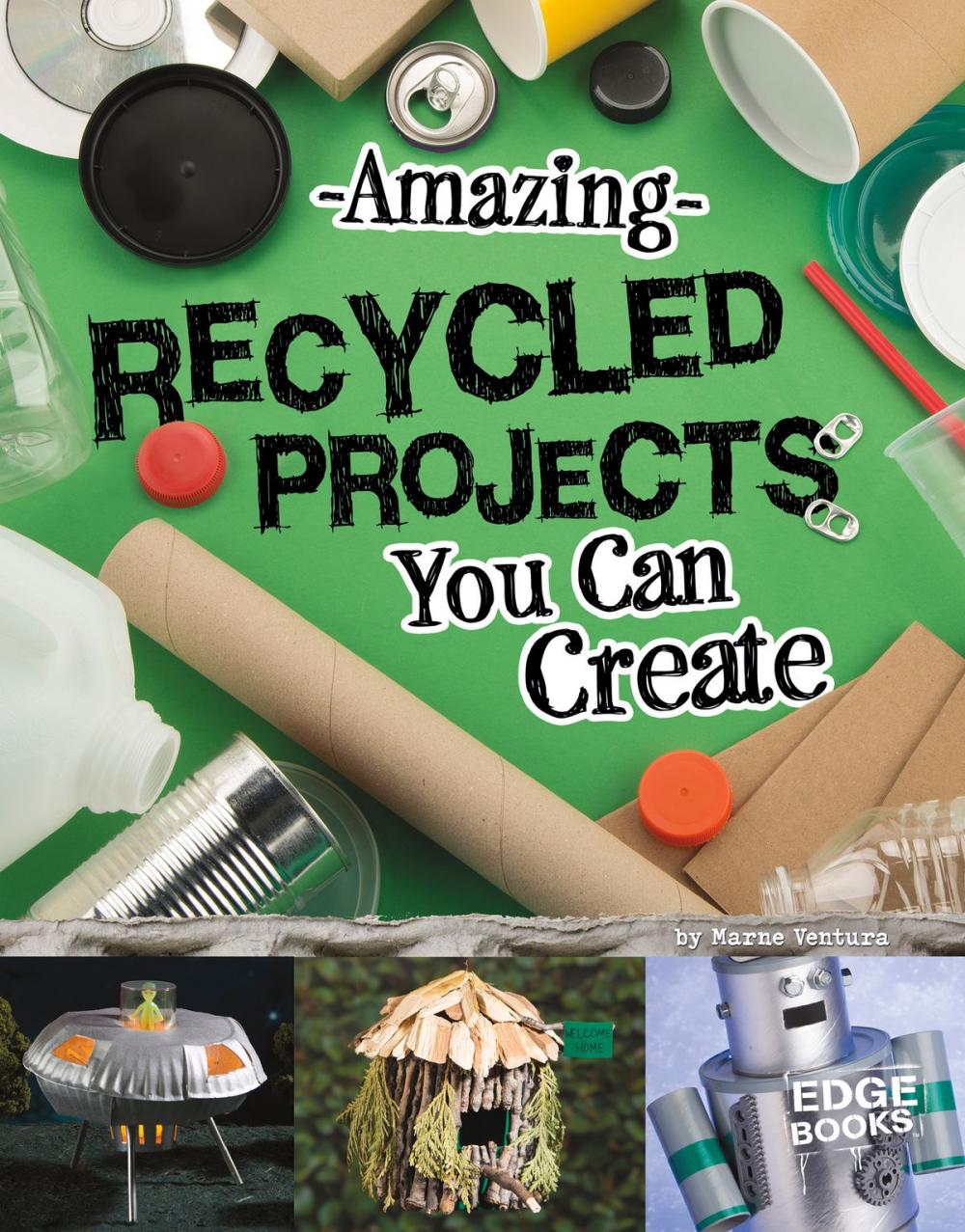 Big bigCover of Amazing Recycled Projects You Can Create