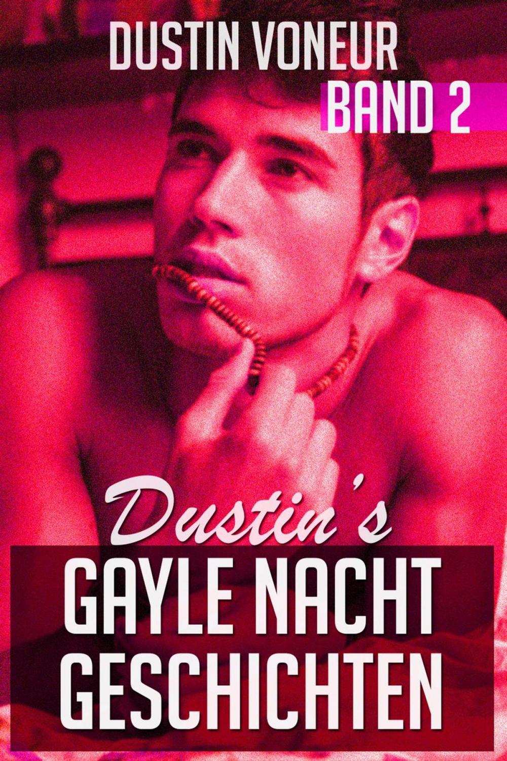 Big bigCover of Dustin's Gayle Nacht Geschichten: Band 2