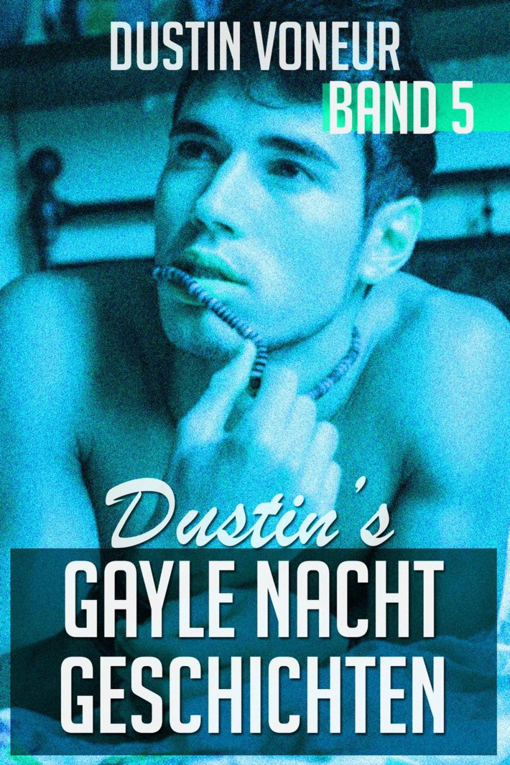 Big bigCover of Dustin's Gayle Nacht Geschichten: Band 5