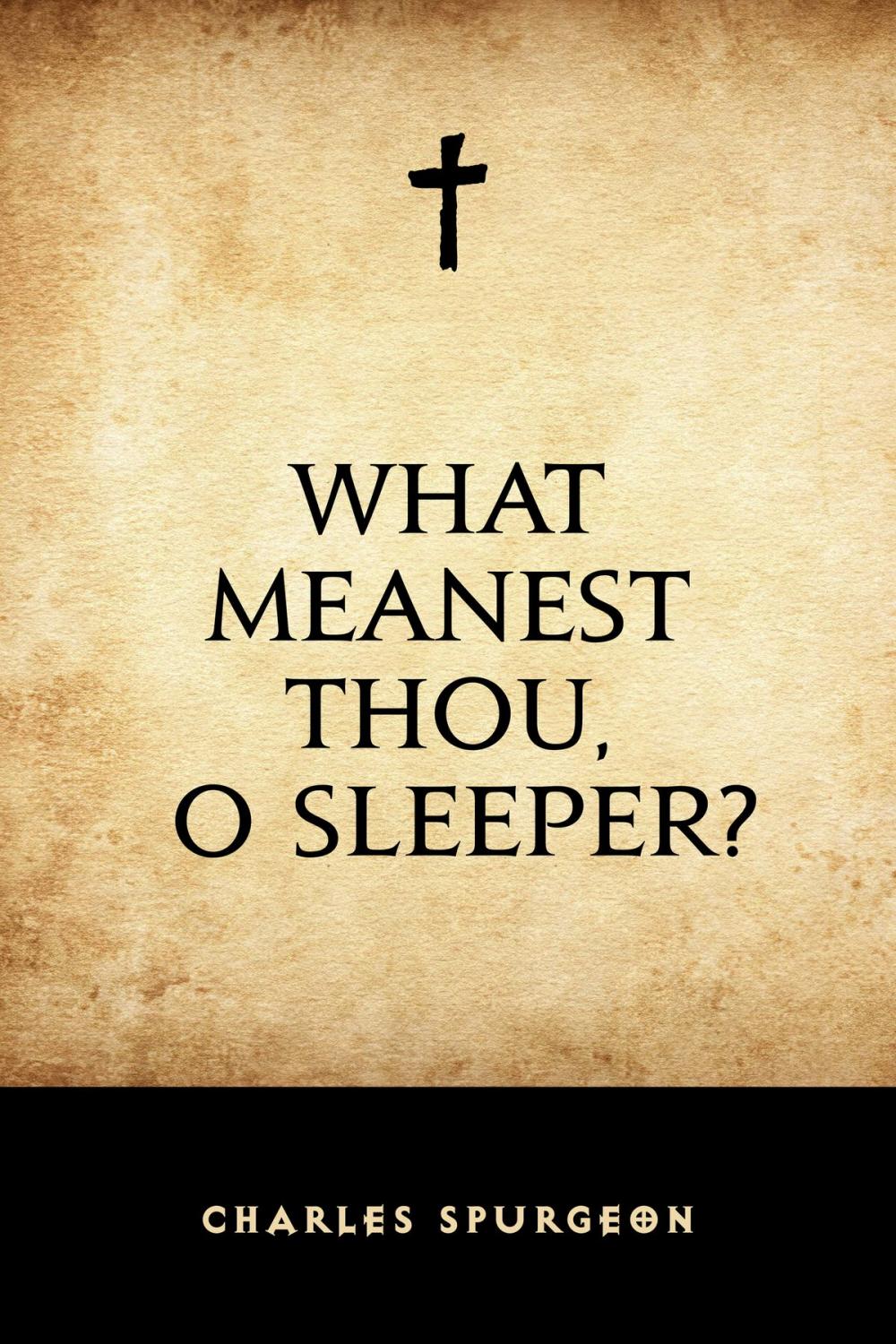 Big bigCover of What Meanest Thou, O Sleeper?